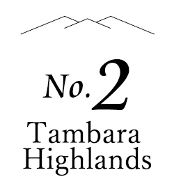 no.2 Tambara Highlands