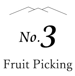 no.3 Fruits Picking