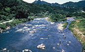 利根川の風景