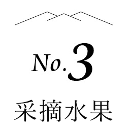 no.3 采摘水果