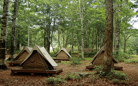 露營