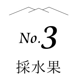 no.3 採水果
